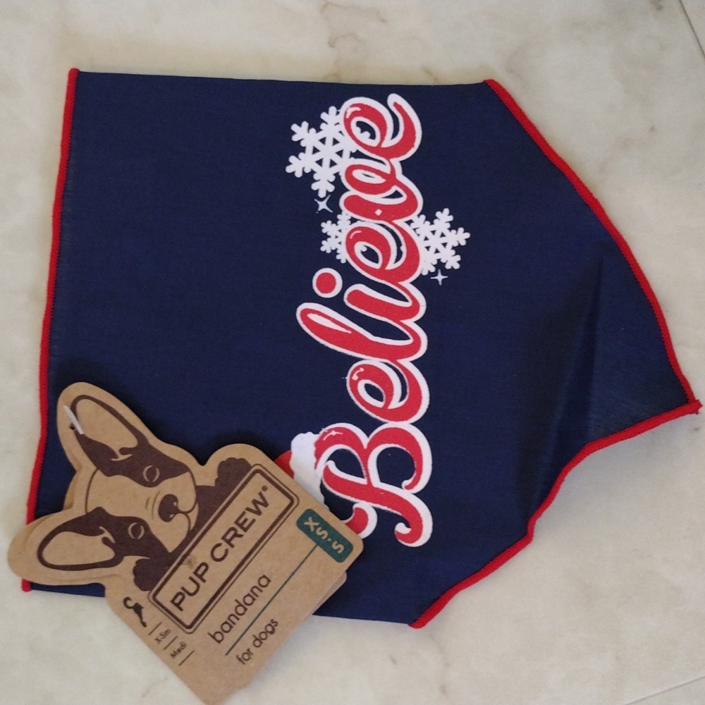 Pup Crew Christmas bandana.